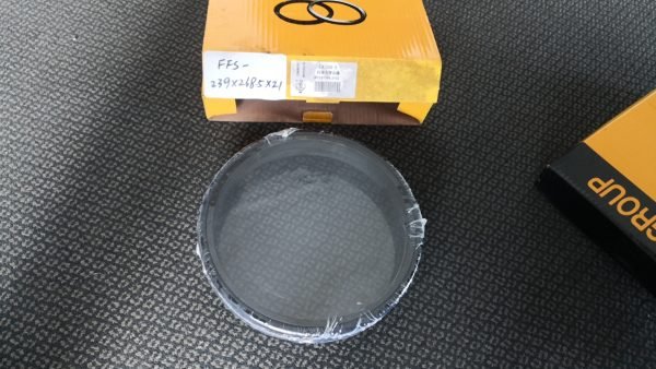 FFS-239×268.5×21 01