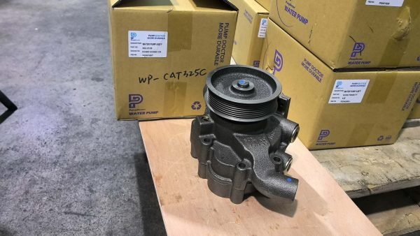 wP-cat325C 05
