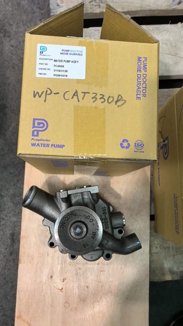 wP-cat336d 05